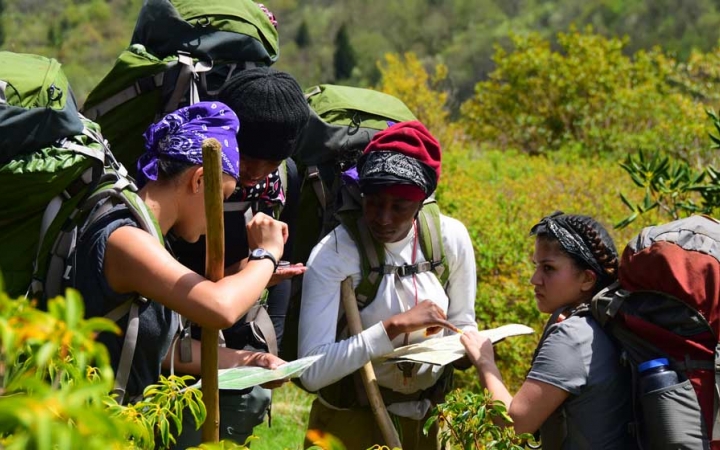Four people wearing backpacks examine a map amid dense greenery.